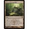 Grove of the Guardian