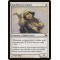 Apothecary Initiate
