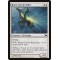 Rune-Cervin Rider