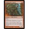 Mudbrawler Cohort