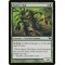 Foxfire Oak