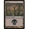 Swamp