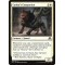 Cathar's Companion