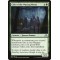 Cult of the Waxing Moon