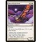 Moonwing Moth