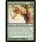 Matsu-Tribe Birdstalker
