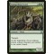 Stampeding Serow