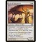 Auriok Sunchaser