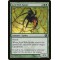 Acid Web Spider