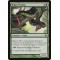 Blight Mamba