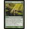 Carrion Call