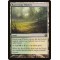 Razorverge Thicket