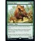 Nessian Boar