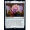 Nyx Lotus
