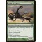 Sedge Scorpion