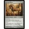 Akroan Horse