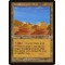 Desert