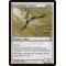 Cloudchaser Kestrel