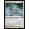 Duskrider Peregrine