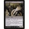 Basal Sliver