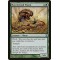 Havenwood Wurm