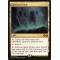 Cavern of Souls
