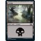 Swamp