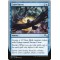 Crow Storm