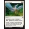 Divine Arrow