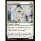 Teyo's Lightshield