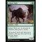 Arlinn's Wolf