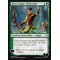 Jiang Yanggu, Wildcrafter