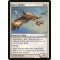 Apex Hawks