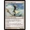 Kitesail Apprentice