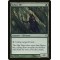 Arbor Elf