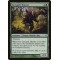Graypelt Hunter