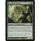 Vastwood Animist