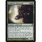 Wolfbriar Elemental