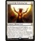 Priest of the Wakening Sun