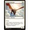 Shining Aerosaur