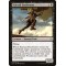 Kitesail Freebooter