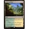 Sunpetal Grove