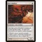 Kor Duelist