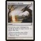 Shieldmate's Blessing