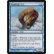 Windrider Eel