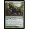 Mold Shambler