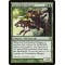 Turntimber Ranger