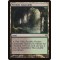 Verdant Catacombs