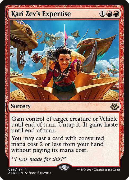 Kari Zev's Expertise