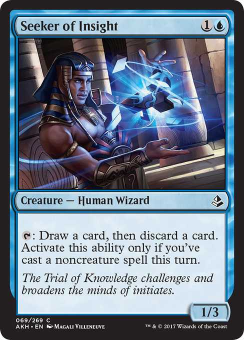 Seeker of Insight